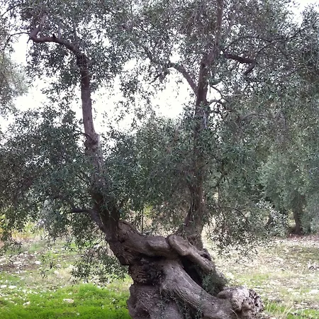 Hotel Rocca Sul Mare