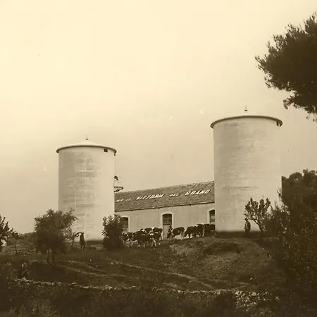 Rocca Sul Mare Hotel Hotel Vieste