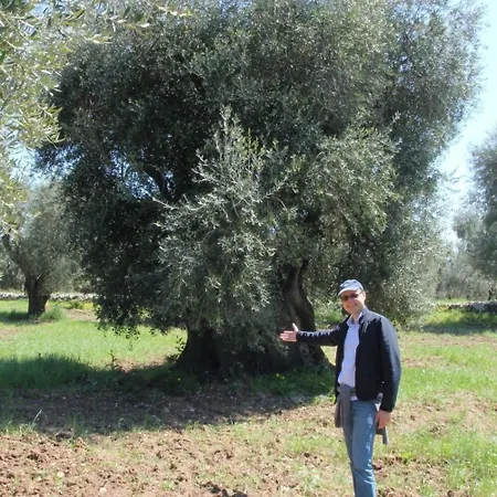 Rocca Sul Mare * فيستَ