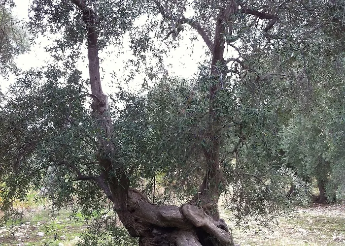 Hotel Rocca Sul Mare