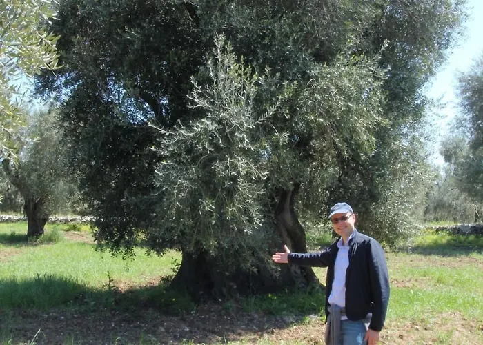 Rocca Sul Mare * Vieste